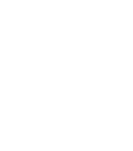Ferris Pizza